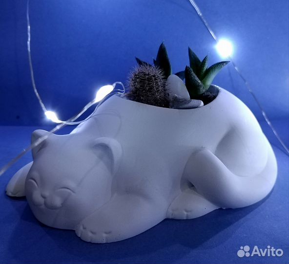 Мини садик флорариум