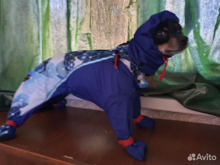 Одежда для маленьких собак