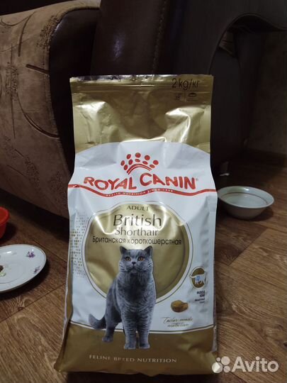 Корм для кошек британских короткошерстных