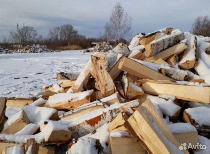 Дрова березовые