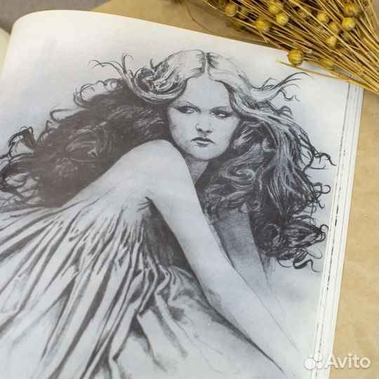 Книга Феи Браяна Фрауда Faeries Brian Froud