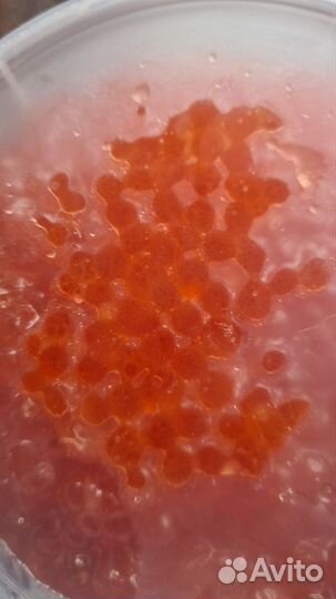 Икра красная