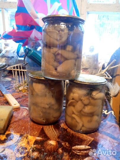 Грибы маслята маринованные