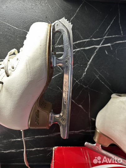 Коньки edea chorus 22