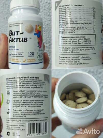 Набор для котиков