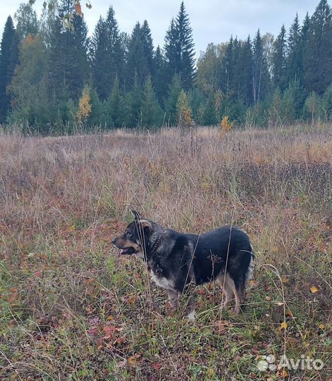 Помогите найти евочку