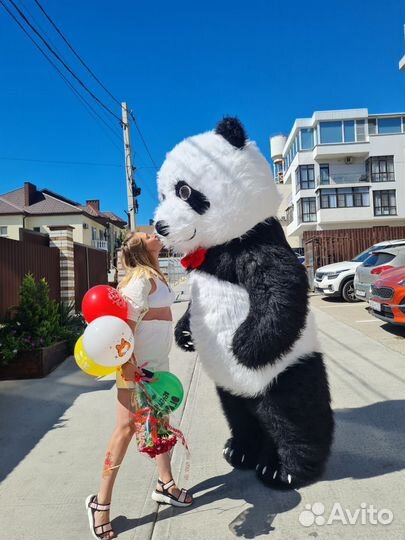 Панда Кексик