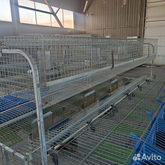 Клетки для кроликов