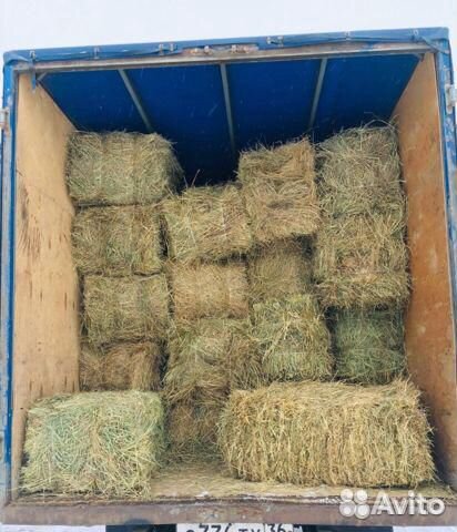 Солома Сено в тюках