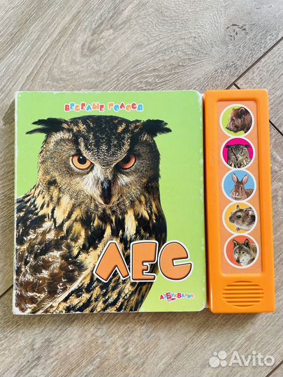 Музыкальные книги