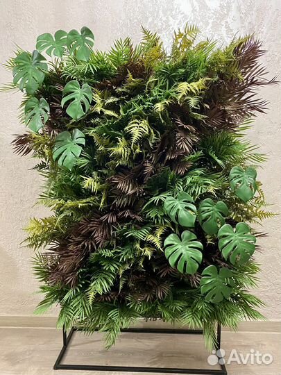 Фитостена фитокартина вертикальное озеленение