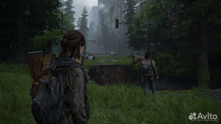 The last of us part 2, PS4/PS5