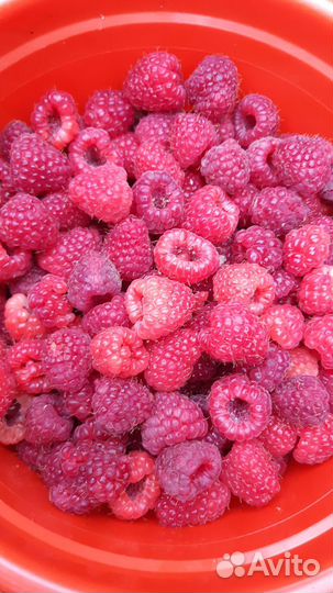 Варенье из Малины