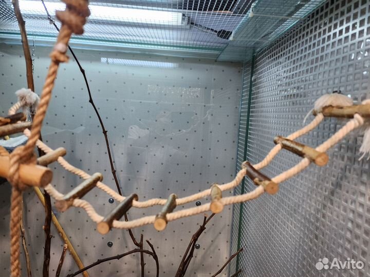 Гамаки/лежанки, лесенки, лампы,поилка,кольца,ветки