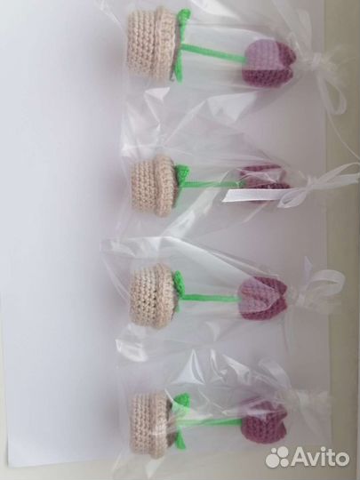 Тюльпаны в горшке