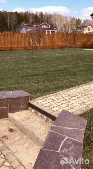 Рулонный газон 