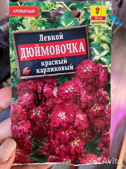 Левкой
