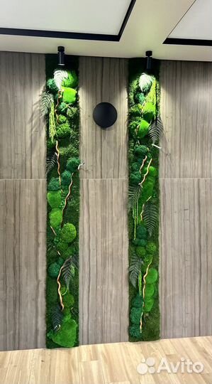 Мох стабилизированный. Дизайн. Декор. Озеленение