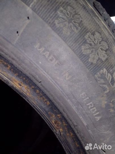 Tigar Ice 205/55 R16