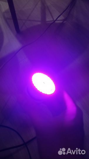 Две фитолампы для растений