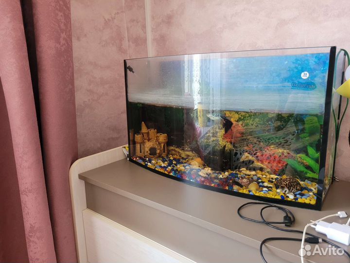 Аквариум