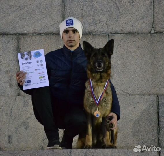 Дрессировка собак.Кинолог