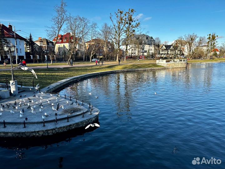 Экскурсионные туры в Калининград от 3 дней