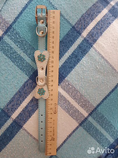 Амуниция для собак/кошек