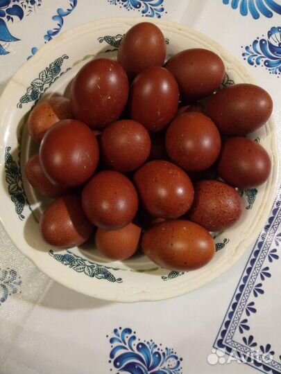 Куриное яйцо