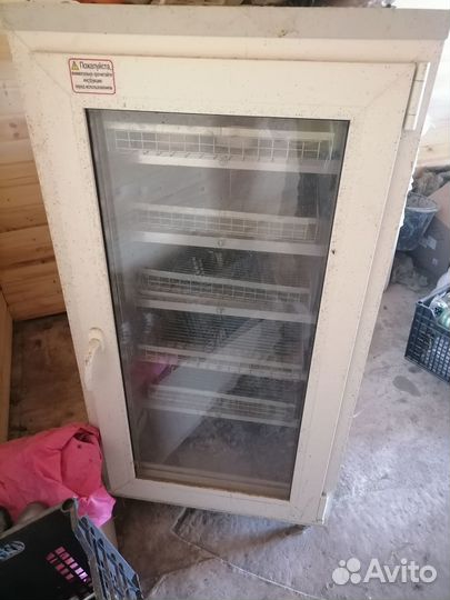 Инкубатор блиц 630 яиц бу