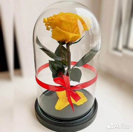 Розы в колбе разные