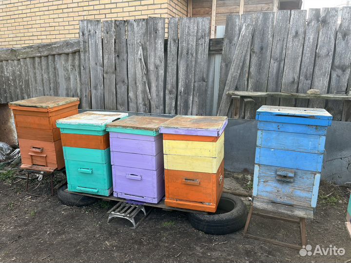 Ульи 12 рамочные деревянные