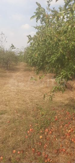 Участок 20 сот. (ИЖС)