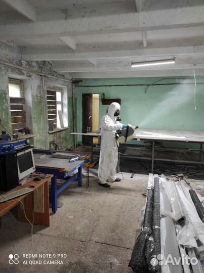 Дезинсекция Дезинфекция Дератизация Тараканов Клоп