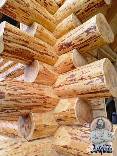 Срубы домов и бань из лафета и бревна. Дикий сруб