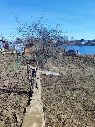 Дача 704 м² на участке 8 сот.