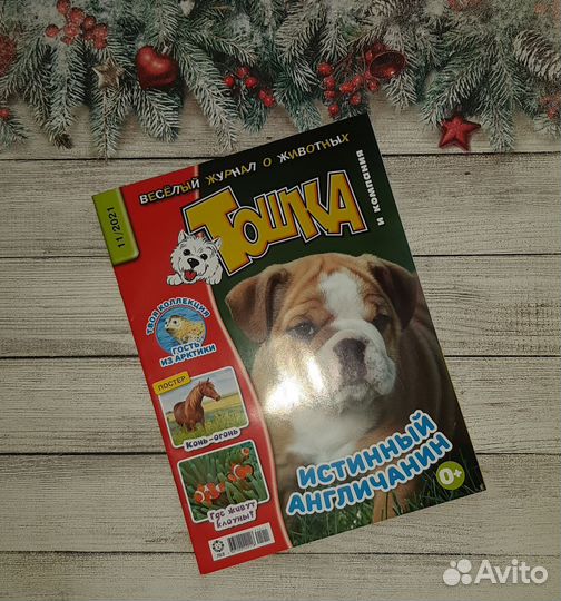 Набор детских новых журналов Тошка