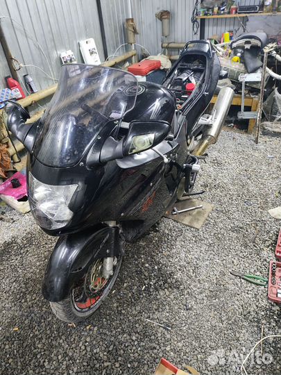Honda cbr1100xx дрозд