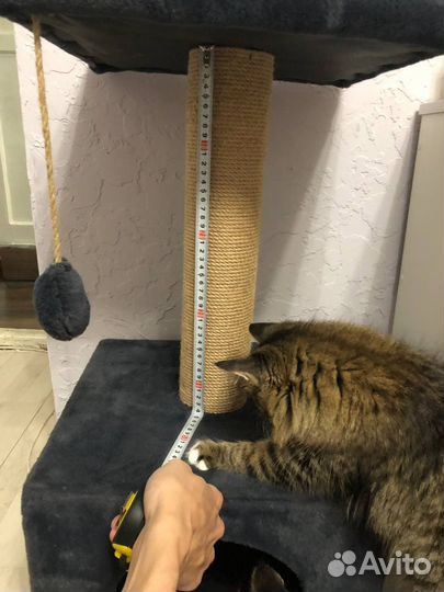 Домик кошачий когтеточка 40х40