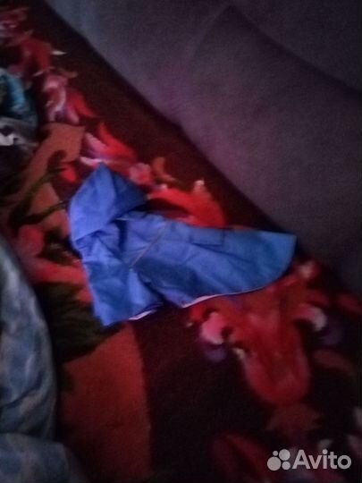 Плащ для маленькой породы собак