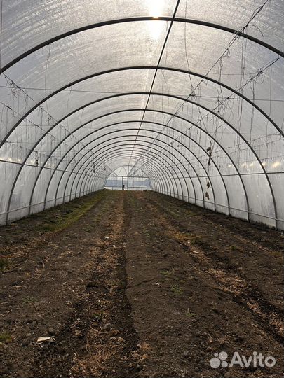 Теплицы 500 кВ м