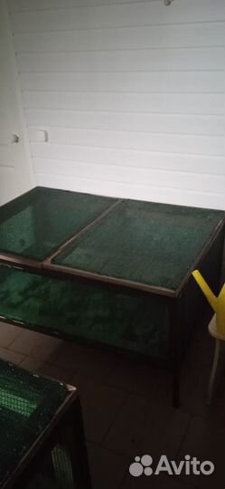 Улиточная ферма