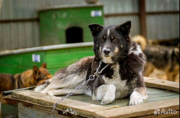 Оливия- это чудо девочка