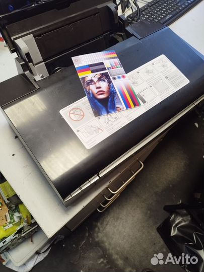 Принтер epson l800