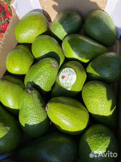 Авокадо 4 кг