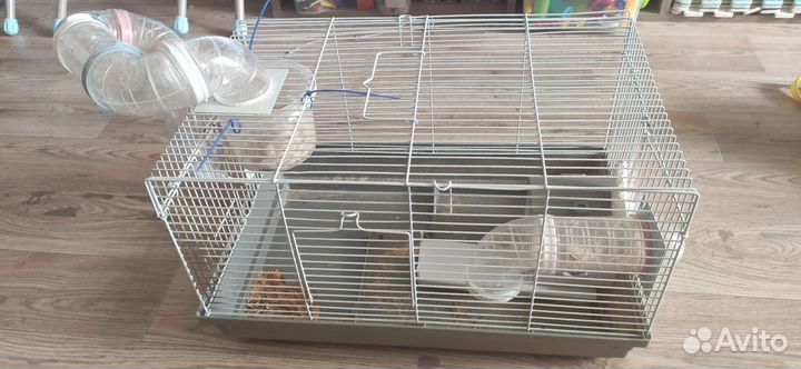 Клетка для грызунов
