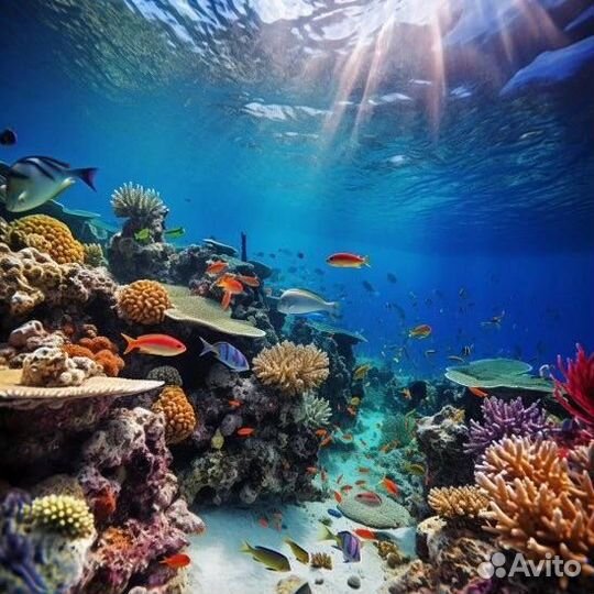 Горящие туры в Египет