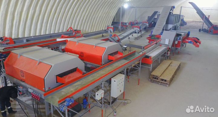 Линия сортировки овощей