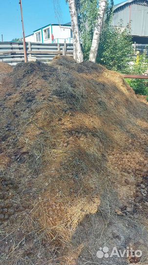 Коннский навоз, бесплатно