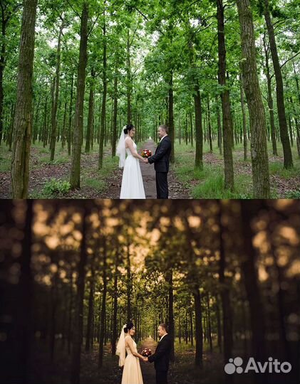 Lightroom 2023/2022 Wndows MacOs бессрочно